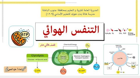 شرح درس التنفس الهوائي - أحياء الصف 12 الفصل 2