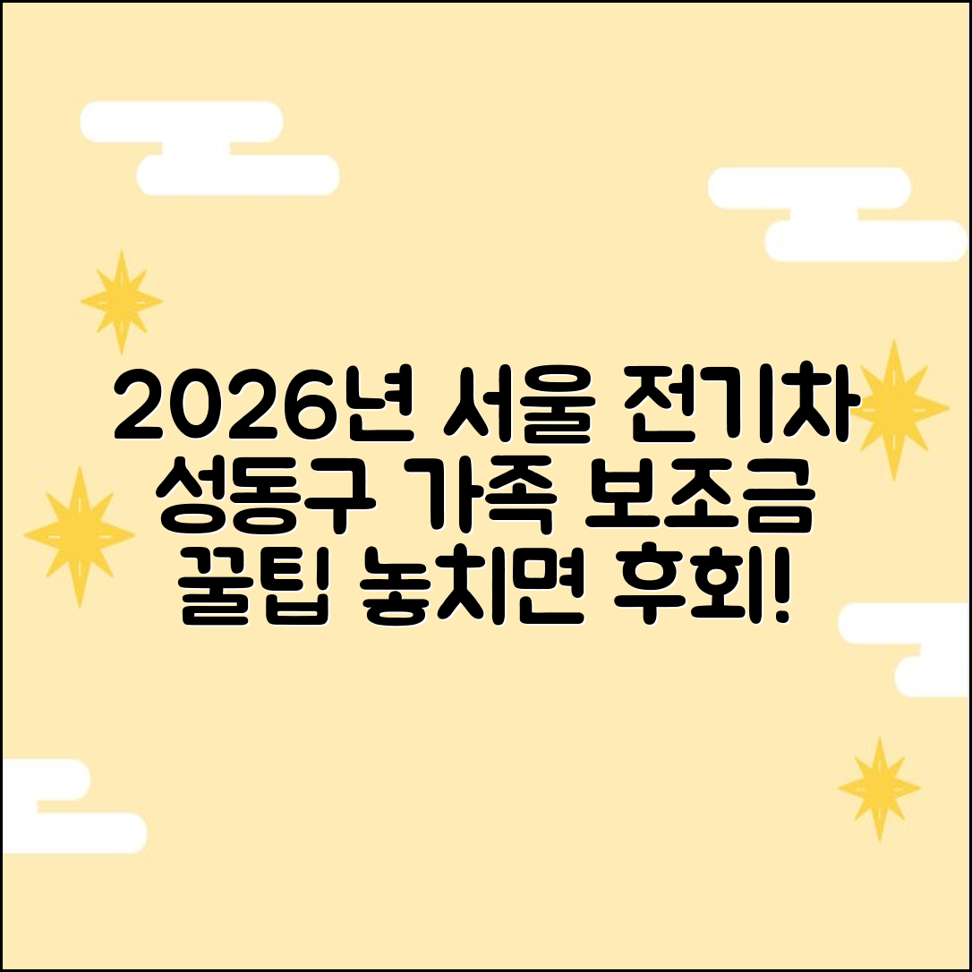 2026 서울 성동구 가족 전기차 보조금 꿀팁 3가지