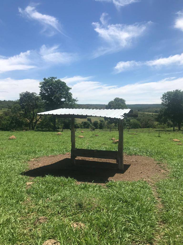 Fazenda em Bela Vista de Goiás - GO 8