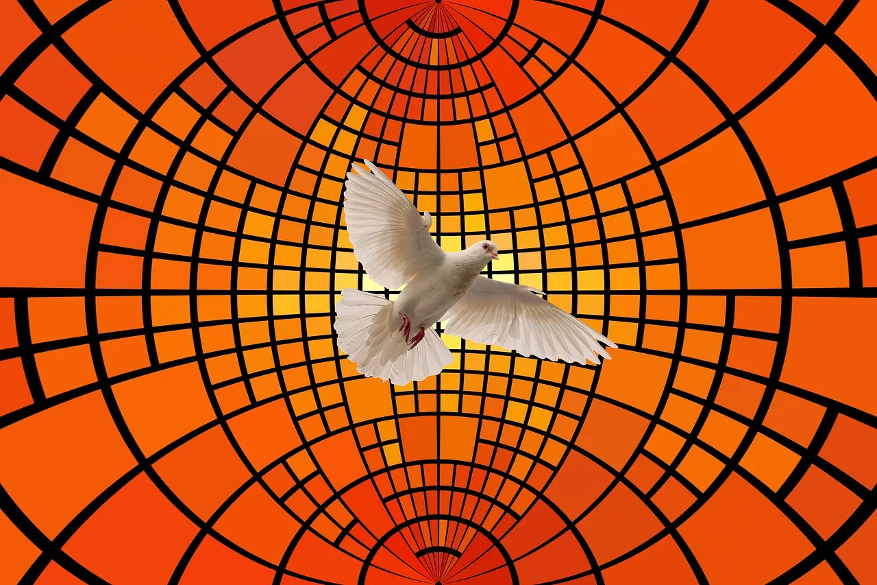 섹션 1 이미지