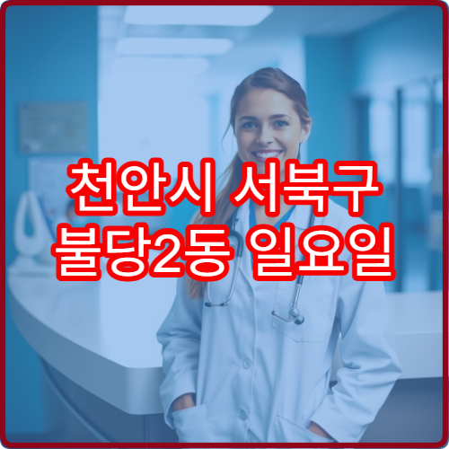 천안시 서북구 불당2동 일요일 안과 진료 병원 시력 변화 검사