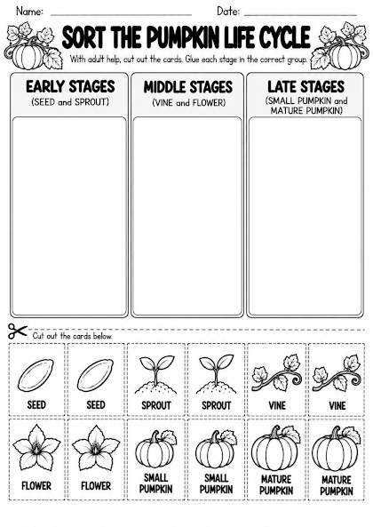 Pumpkin Life Cycle Cut and Paste Sort Worksheet