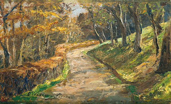 Pathway In Early Spring