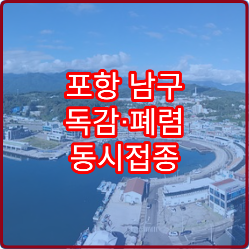 포항 남구 독감·폐렴 동시접종 70세 2026 일정