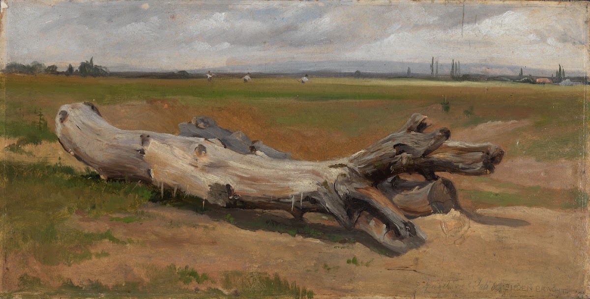 Baumstämme an der Ziegelhütte 1860