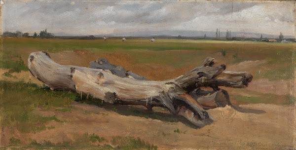 Baumstämme an der Ziegelhütte 1860