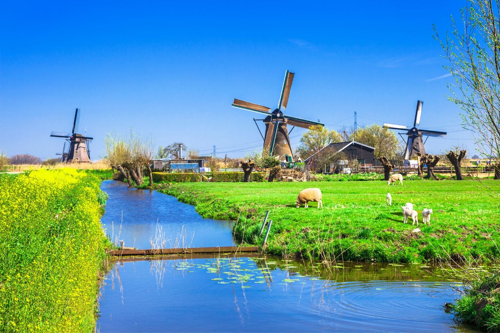 Netherlands Kinderdijk