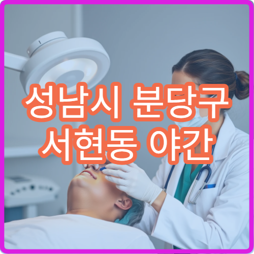 성남시 분당구 서현동 야간 정신건강의학과 진료 가능한 병원 심리 상담 안내