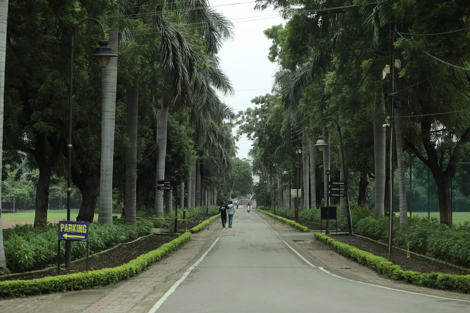 Nandan Van Jungle Safari