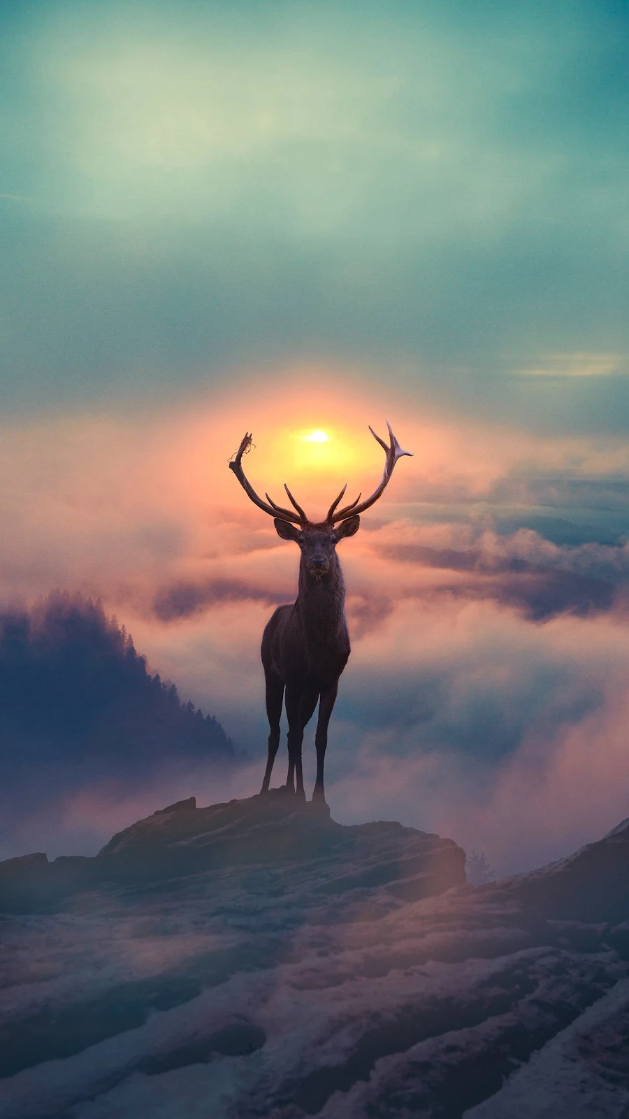 A Cool Hunting Aesthetic, Deer, Reindeer, Moose, Elk 2K iPhone Wallpaper for Free Download in High Quality [1440x2560]