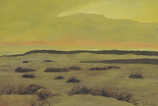 Duinen 1928