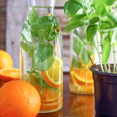 Sáng hôm sau, bạn dùng ngay nước detox này sau khi thức dậy và trước khi ăn sáng để thanh lọc cơ thể nhé. Ngoài thanh lọc cơ thể, loại nước này còn có tác dụng hỗ trợ tiêu hóa rất tốt nữa đấy.