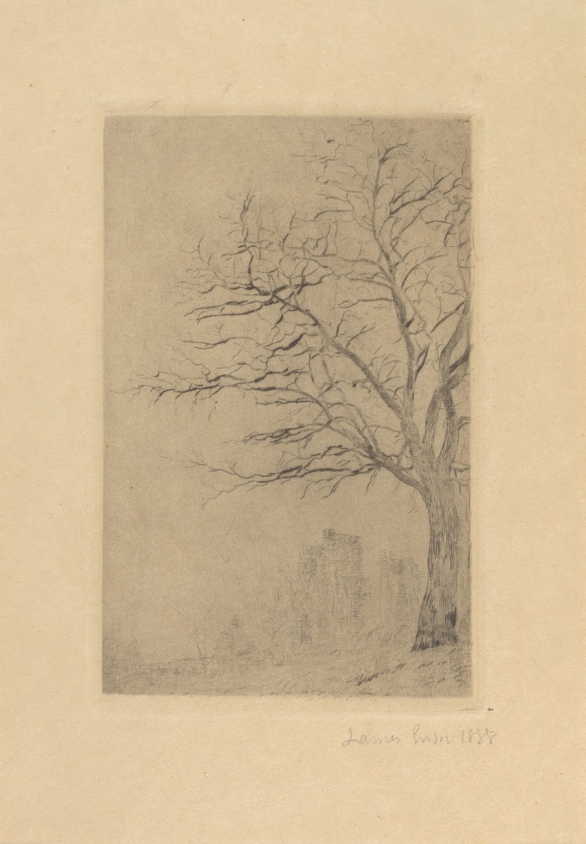 Acacia 1888
