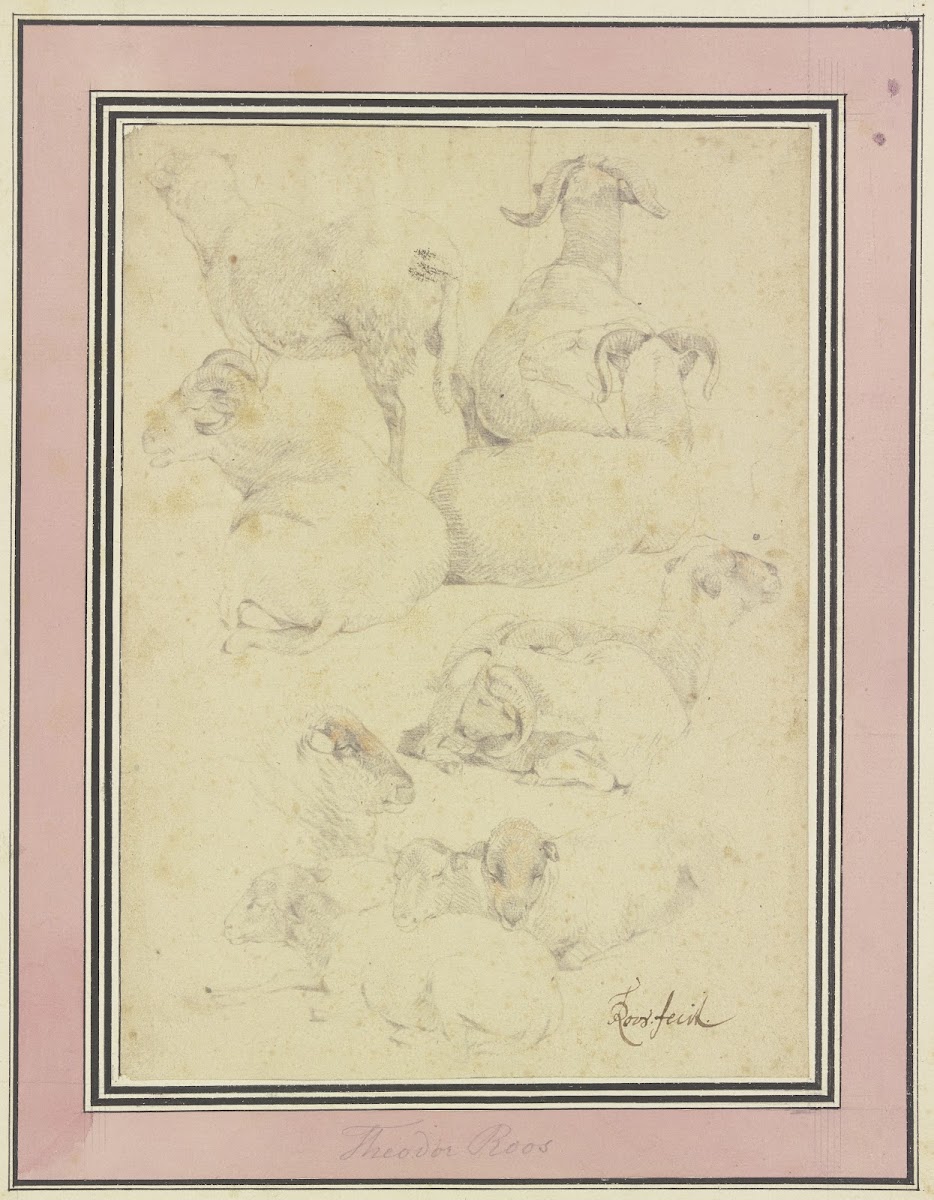 Ten sheep