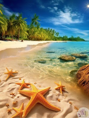Tropical Beach Picture