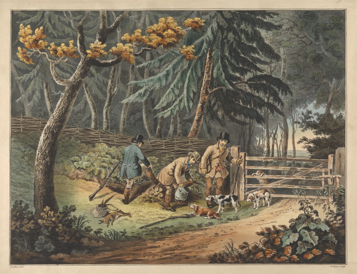 The Return 1813