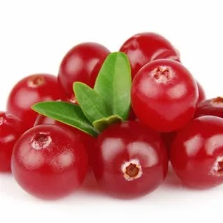 Клюква САДОВАЯ
