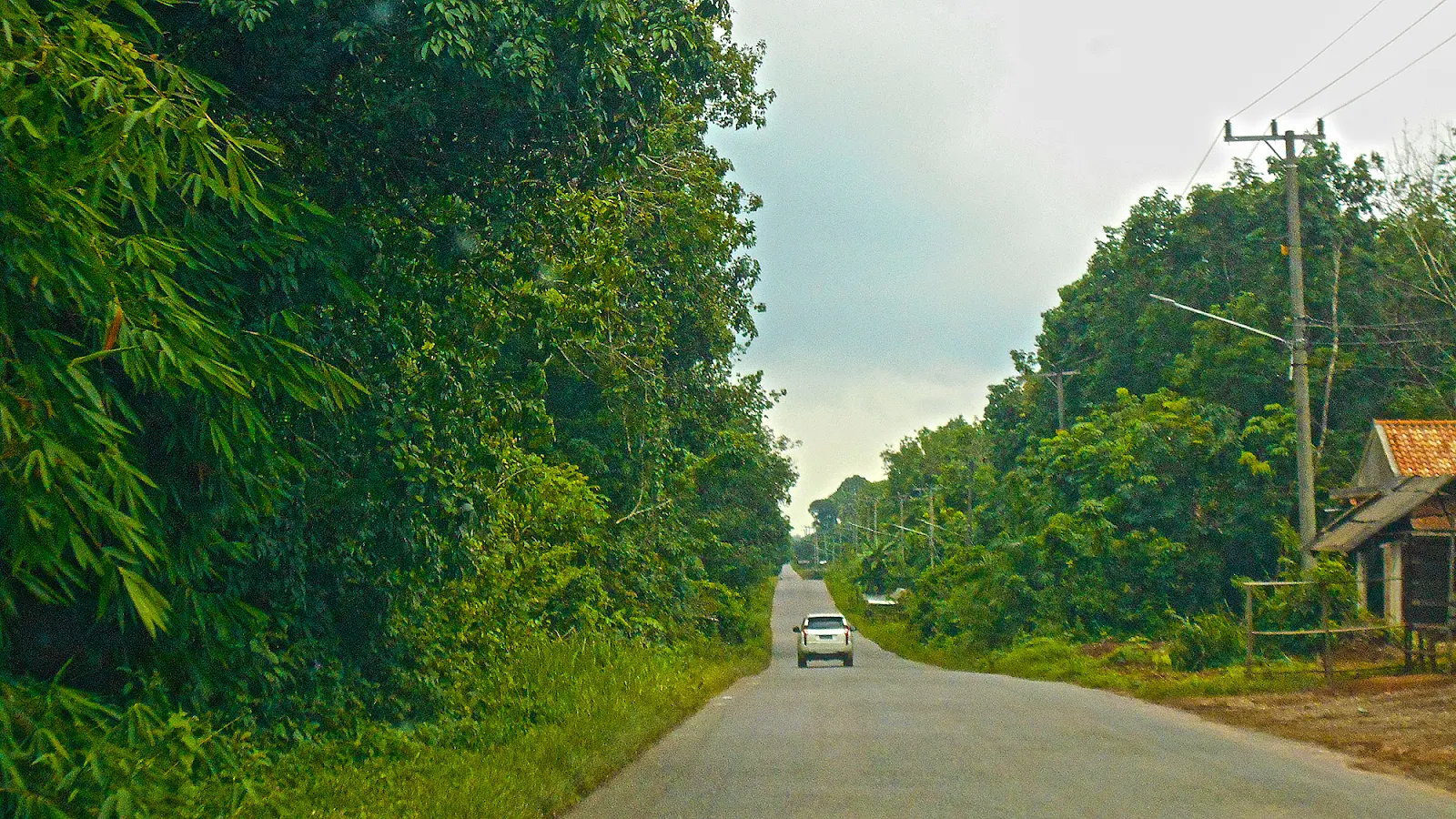 Talang Ubi: Gerbang Budaya dan Wisata Penukal Abab Lematang Ilir