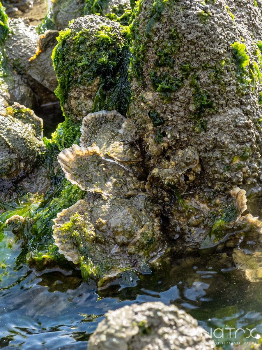 BCase 11023 - 29F.jpg