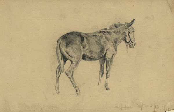 The meditative mule 1863