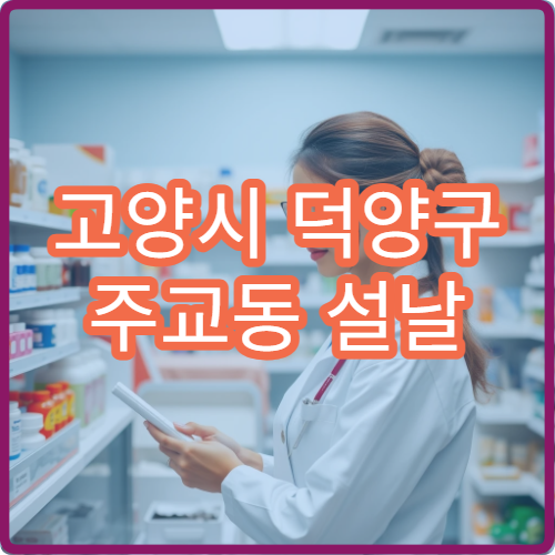 고양시 덕양구 주교동 설날 명절 연휴 운영 중인 당번 약국