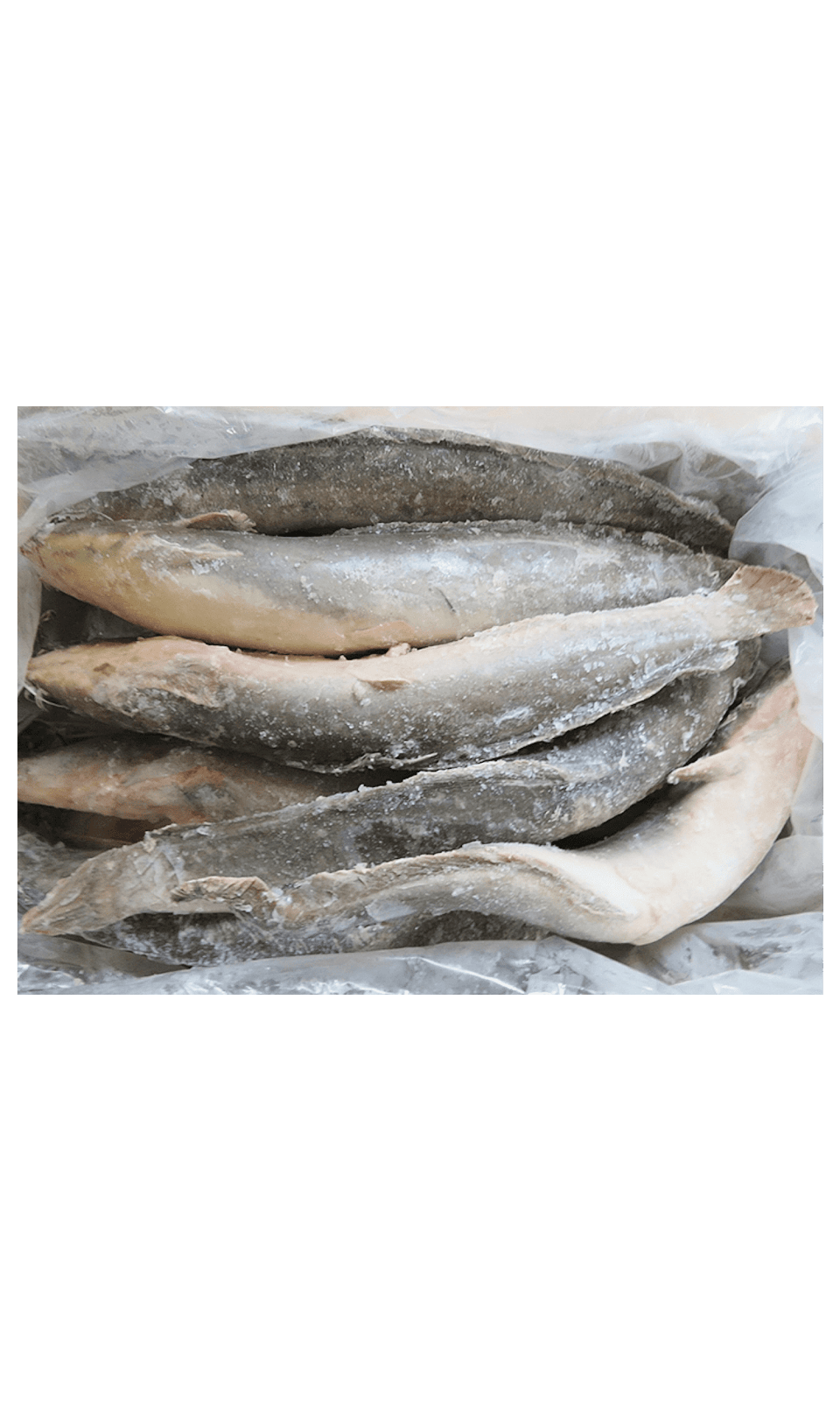 FROZEN CATFISH