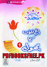 Bagh e Nabuwat Ka Phool Hazrat Hassan Bin Ali r.a by Ashfaq Ahmed Khan PDF