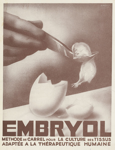 Embryol 1910 1950