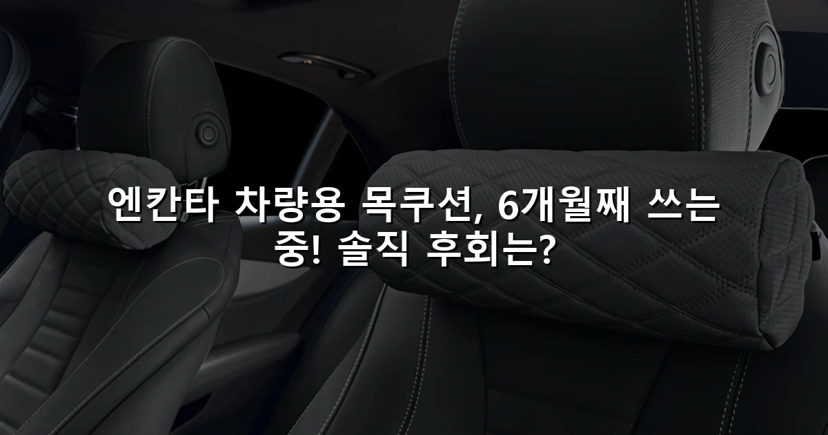 엔칸타 차량용 목쿠션, 6개월째 쓰는 중! 솔직 후회는?