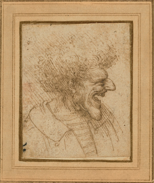Caricature of a Man with Bushy Hair 1495