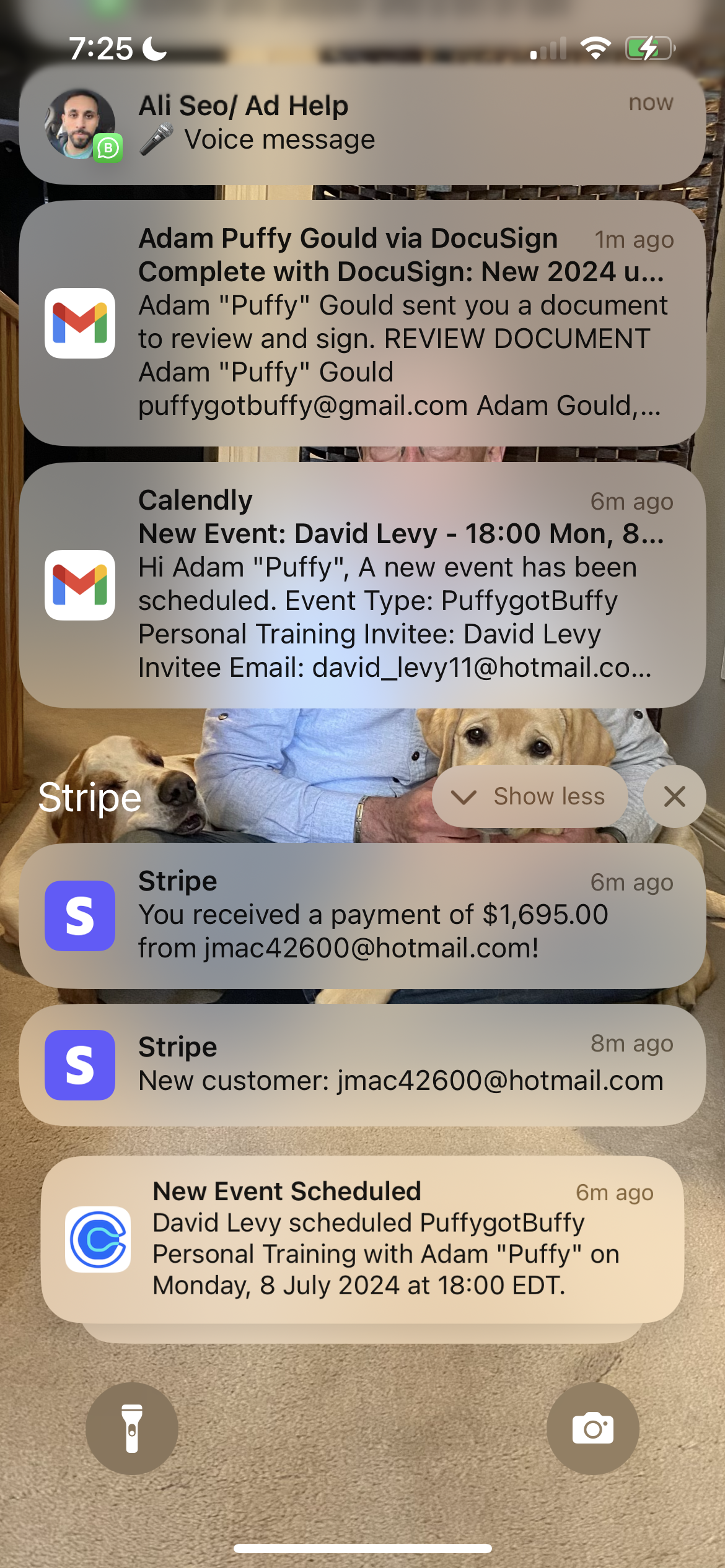 Stripe — active client payments