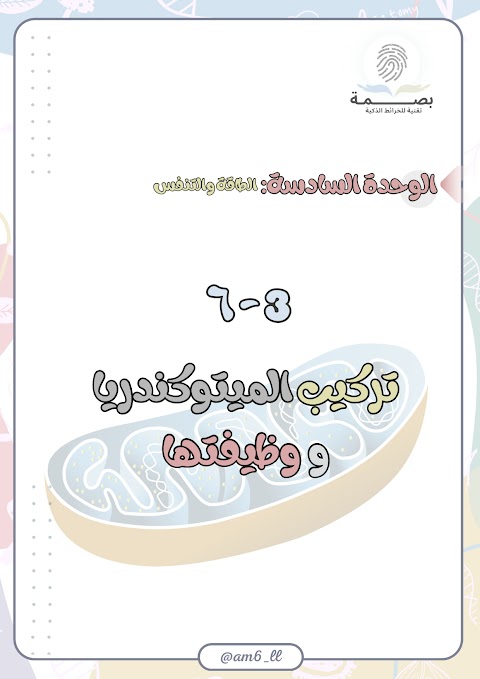 شرح درس تركيب الميتوكندريا ووظيفتها - أحياء الصف 12 الفصل 2