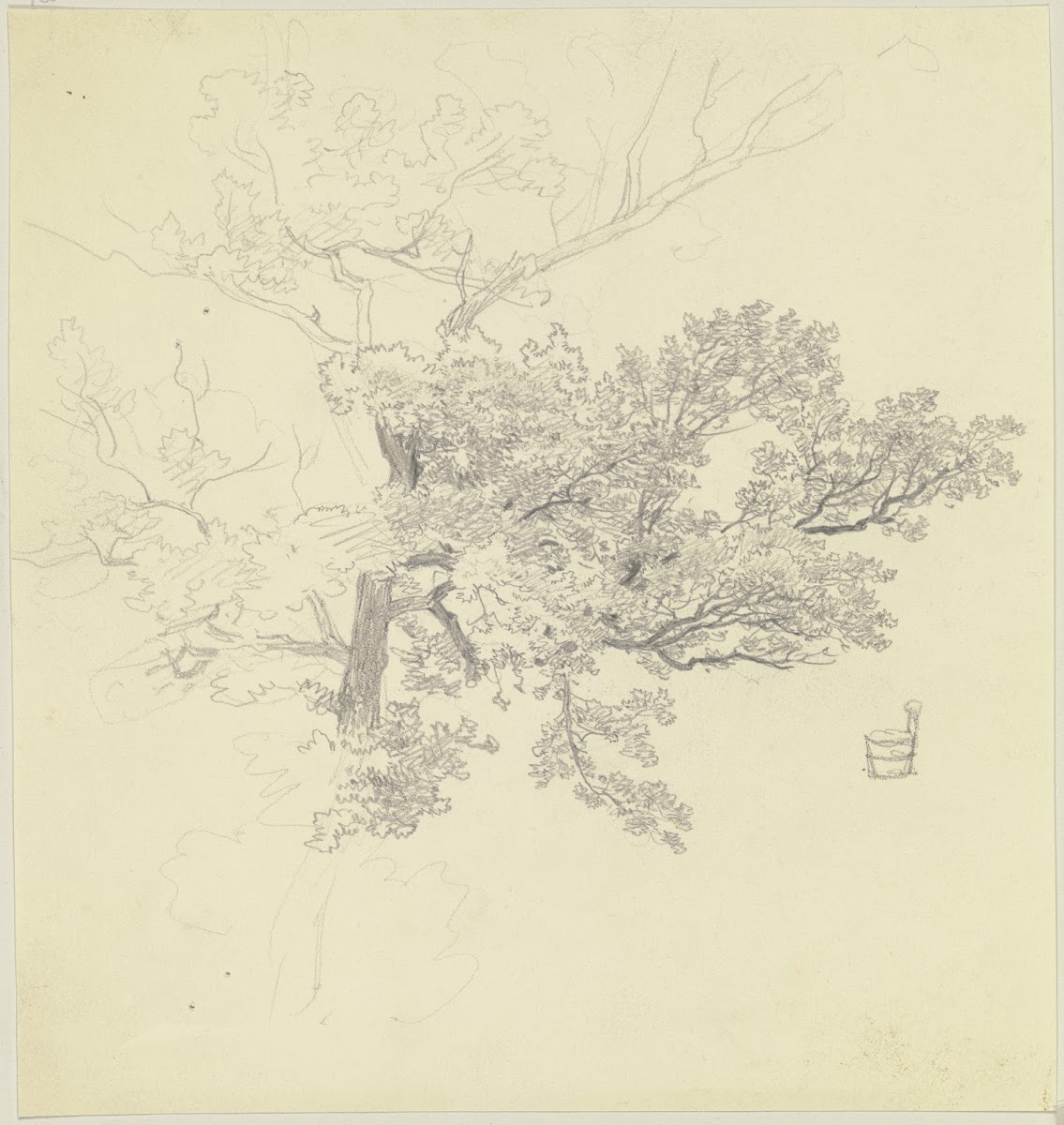 Treetop and tub