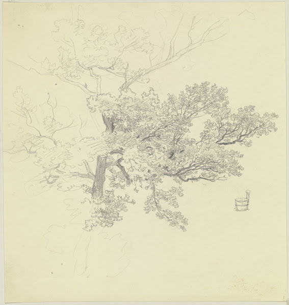 Treetop and tub