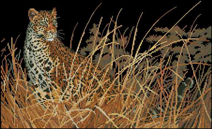 CMP 400094 Leopard Hunts