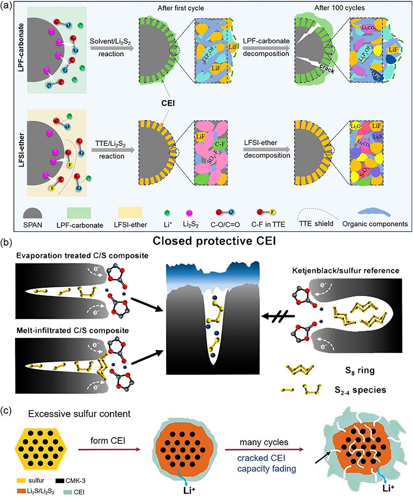Tailoring Cathode–Electrolyte Interface for High-Power and Stable Lithium–Sulfur Batteries