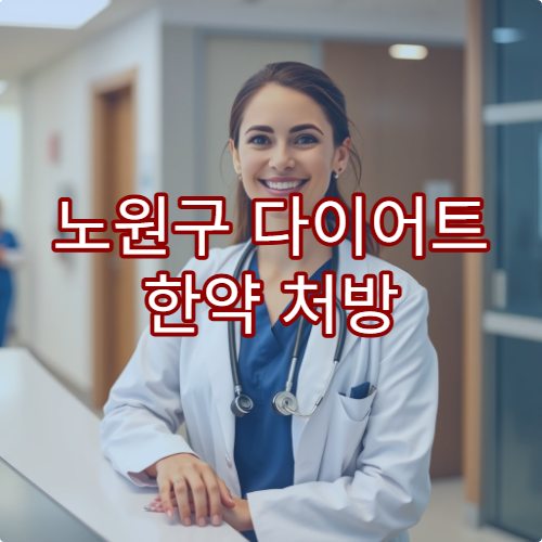 노원구 다이어트 한약 처방 효과 좋은 한의원 직장인 추천