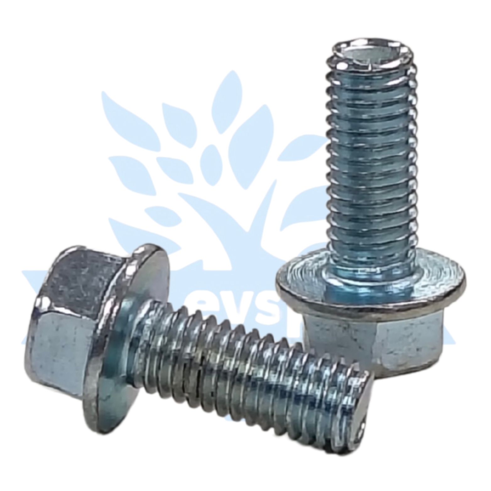 NUT [NB101 DISC 0820F] (012b)