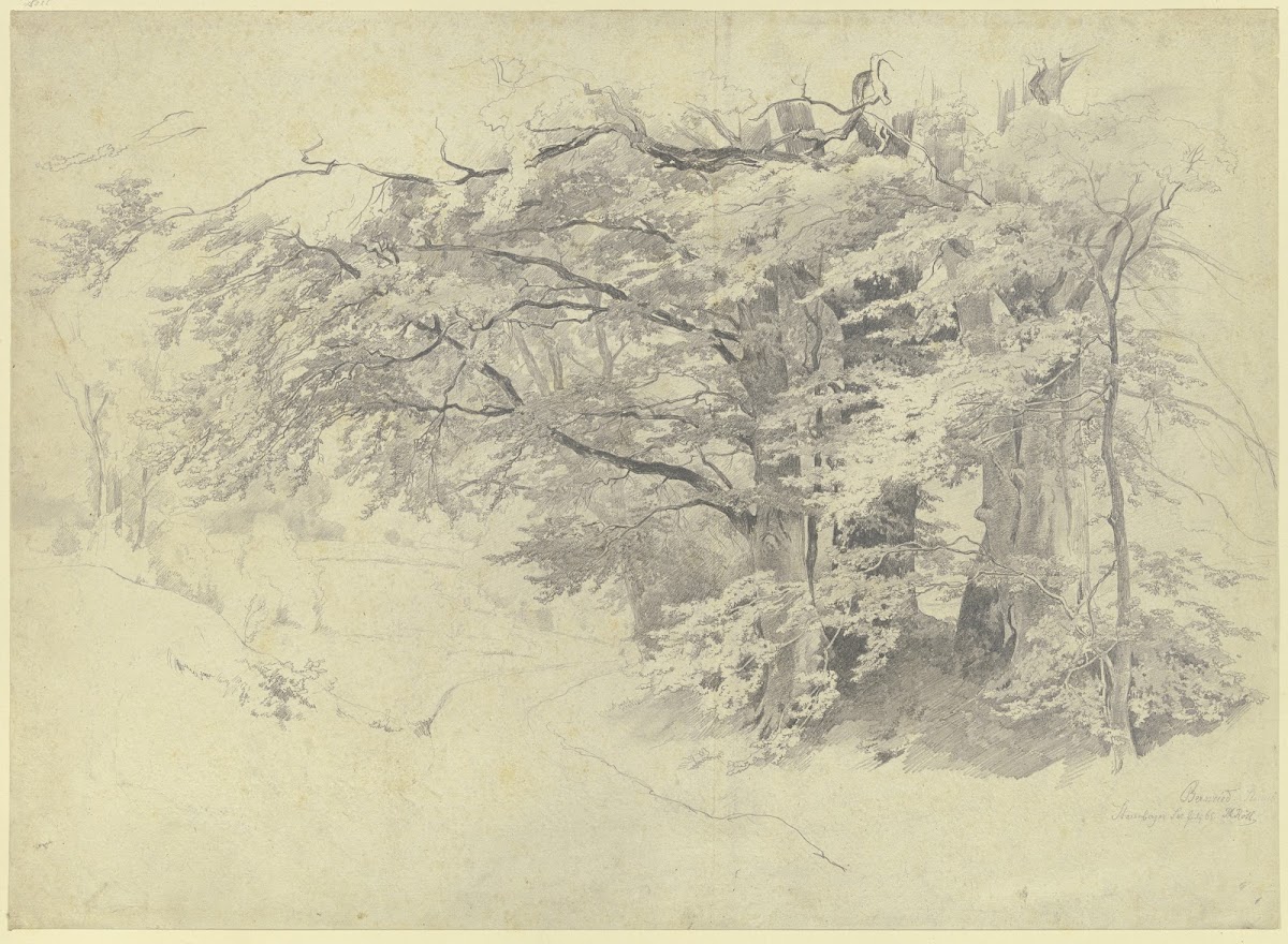 Forest near Bernried 1865
