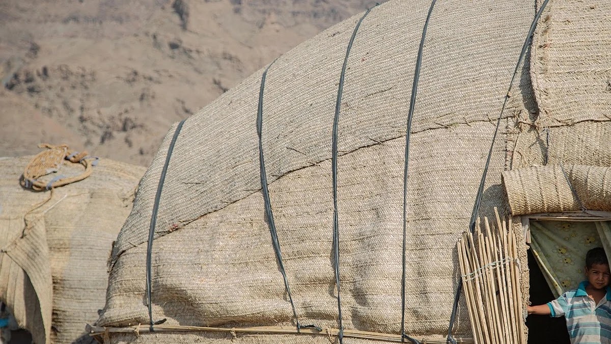 인류 문화 속 금기의 기원과 사회적 기능에 대한 인류학적 이해