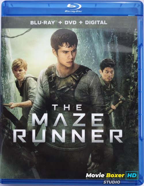 The Maze Runner (2014) Dual Audio Hindi ORG 720p BluRay x264 1GB ESubs - MovieBoxerHD