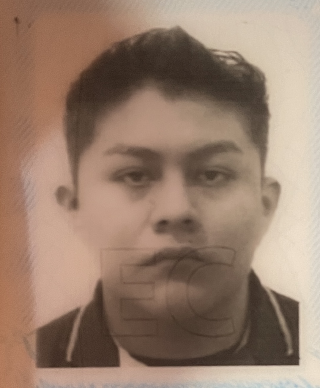 Alex Sebastian Quispe Guacales