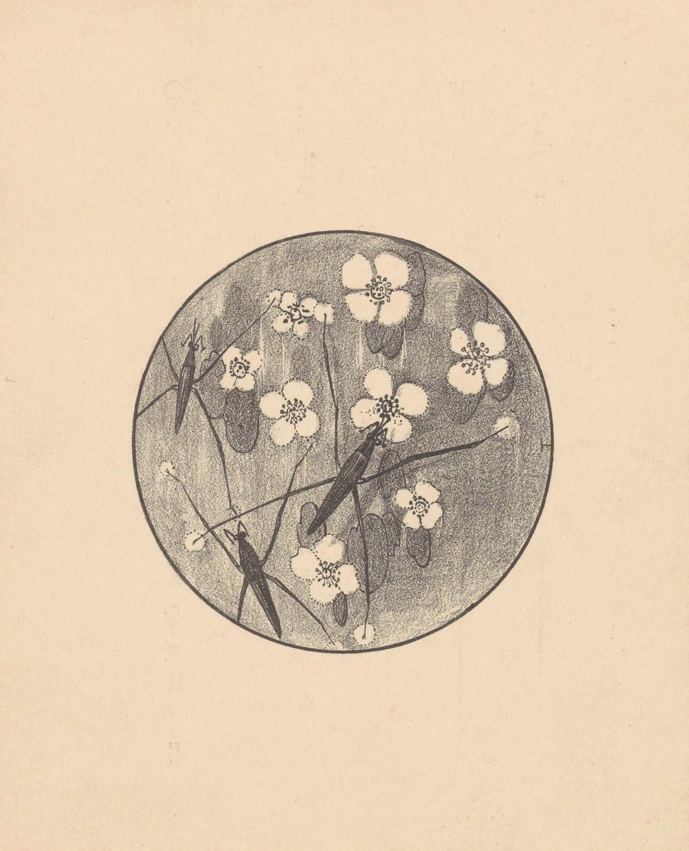 Aankondiging met insecten en bloemen voor serie Dierstudies 1878   1898