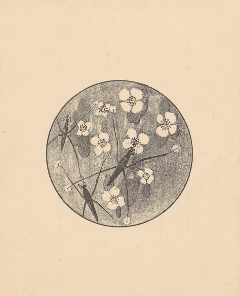 Aankondiging met insecten en bloemen voor serie Dierstudies 1878   1898