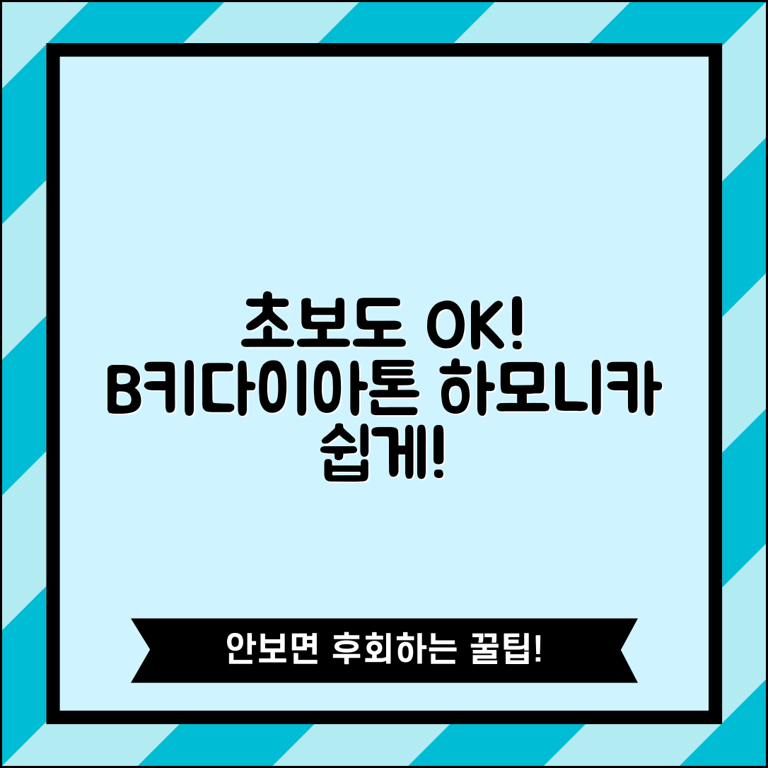 누구나 쉽게 배울 수 있는 b키다이아토닉하모니카 연주법