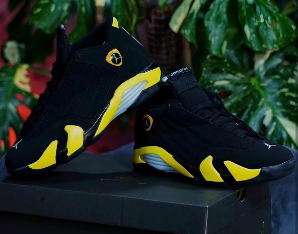 Jordan Retro 14 Negro Amarillo