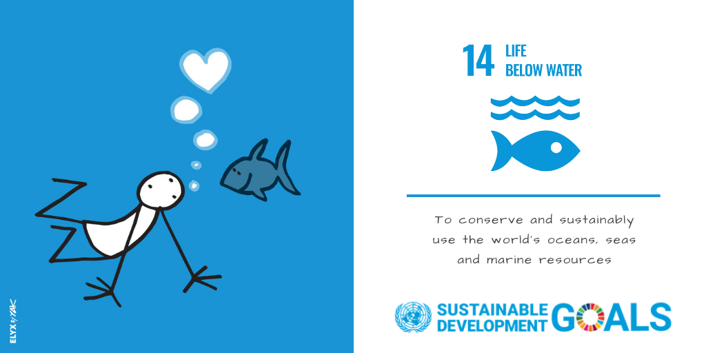SDGs 14 Life Below Water. Blue Economy Indonesia, Blue economy beginner guide. CarbonEthics Indonesia