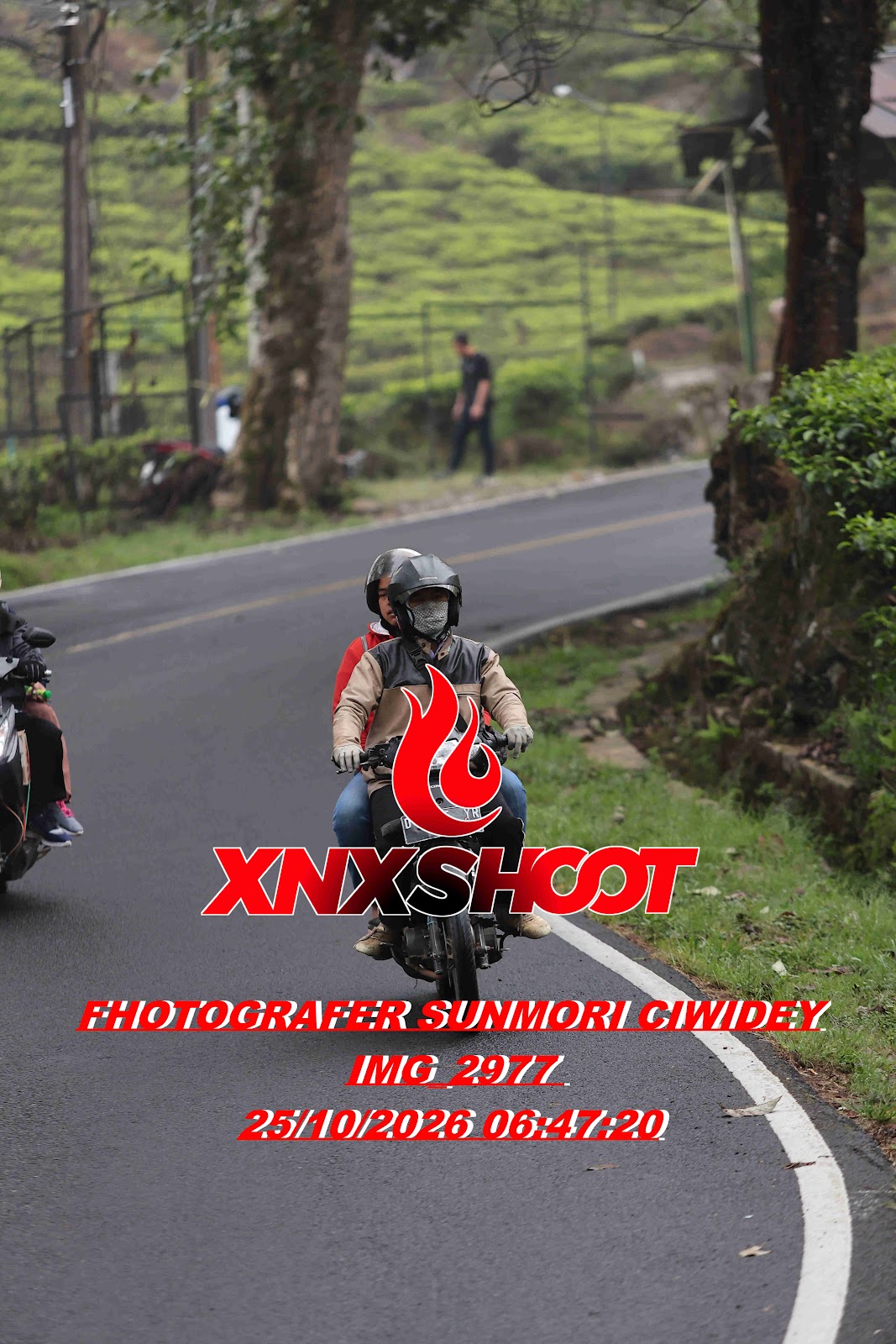 IMG_2977_result.jpg