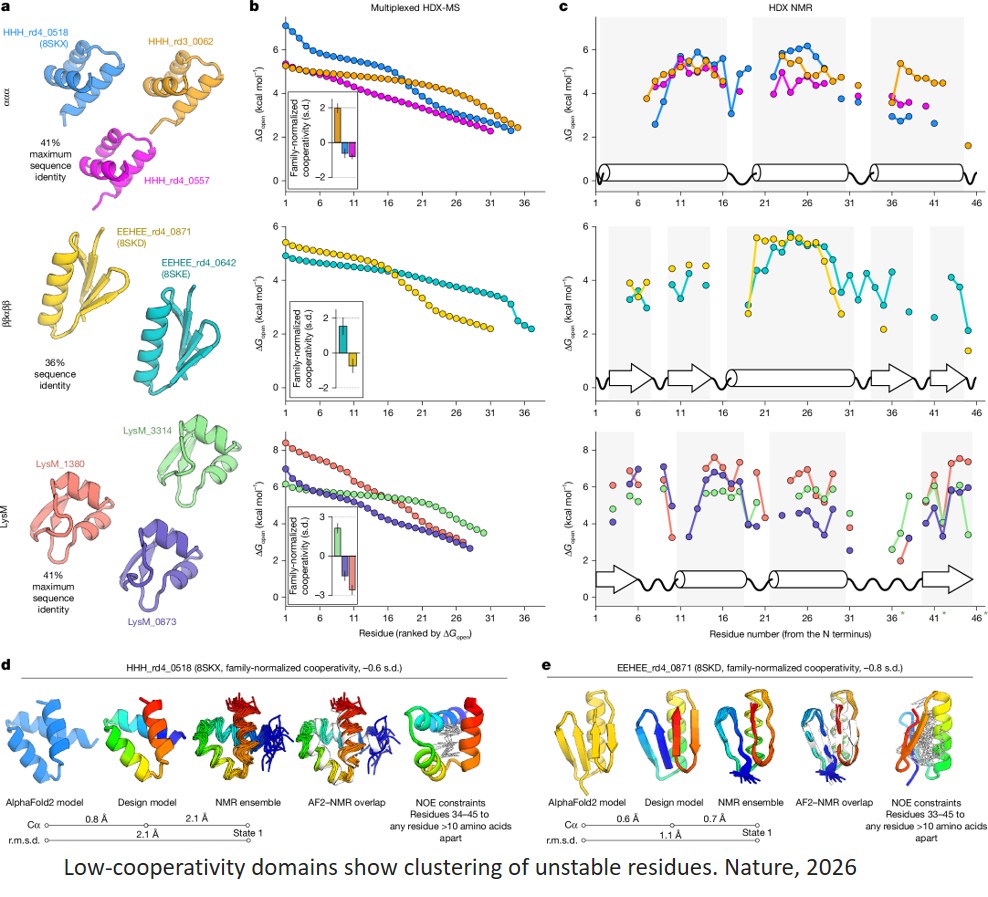 How proteins change shape and move