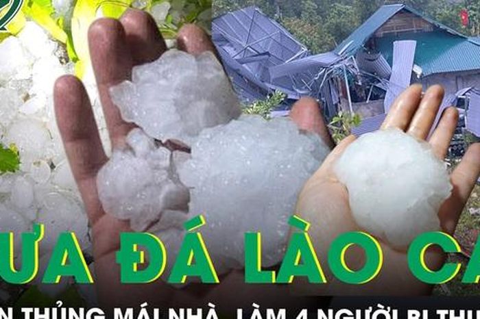 Mưa đá to như nắm tay dội xuống Lào Cai làm 4 người bị thương, gây thiệt hại trên 30 tỷ đồng - Báo Sức Khỏe &amp; Đời Sống